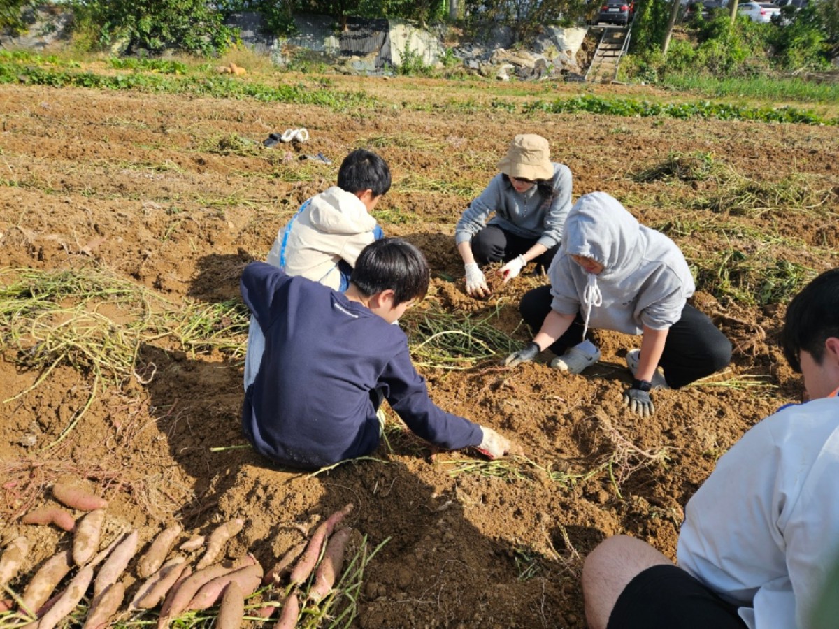 20251026_060015 (3).jpg